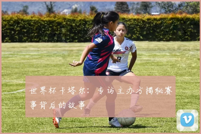 世界杯卡塔尔:专访主办方揭秘赛事背后的故事