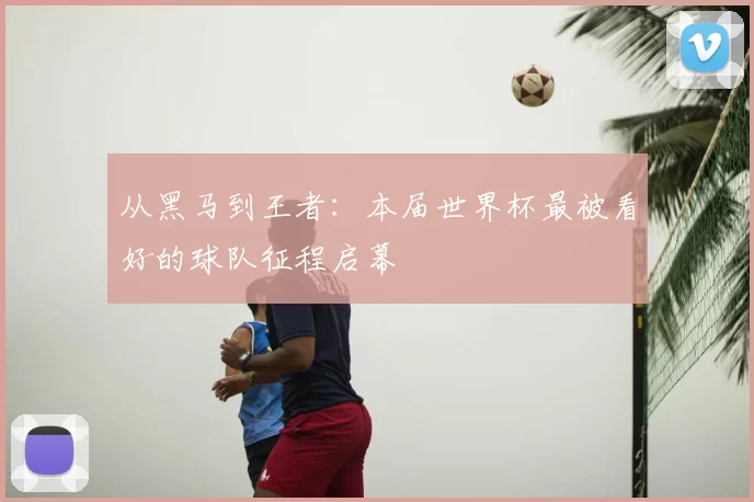 从黑马到王者：本届世界杯最被看好的球队征程启幕