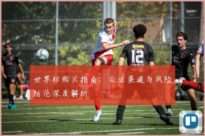 世界杯购买指南：合法渠道与风险防范深度解析