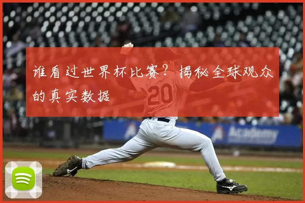 谁看过世界杯比赛？揭秘全球观众的真实数据