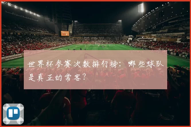 世界杯参赛次数排行榜：哪些球队是真正的常客？