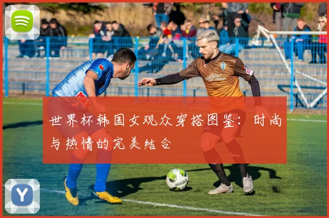 世界杯韩国女观众穿搭图鉴：时尚与热情的完美结合