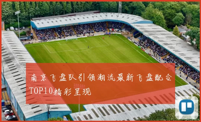 南京飞盘队引领潮流最新飞盘配合TOP10精彩呈现