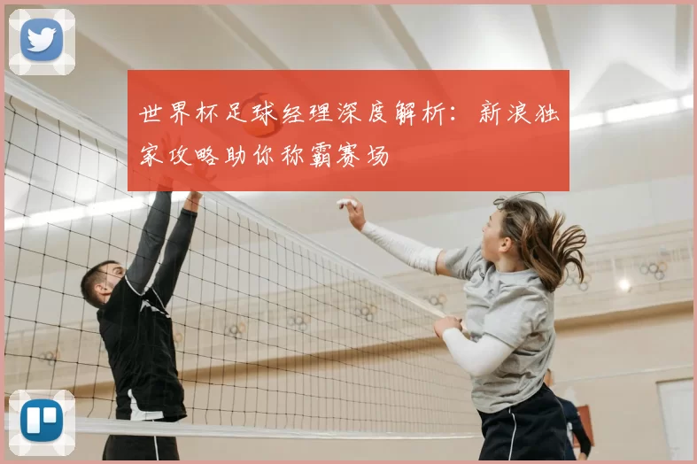 世界杯足球经理深度解析：新浪独家攻略助你称霸赛场