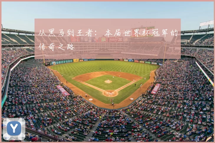 从黑马到王者:本届世界杯冠军的传奇之路