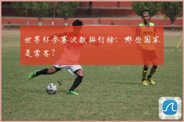 世界杯参赛次数排行榜：哪些国家是常客？
