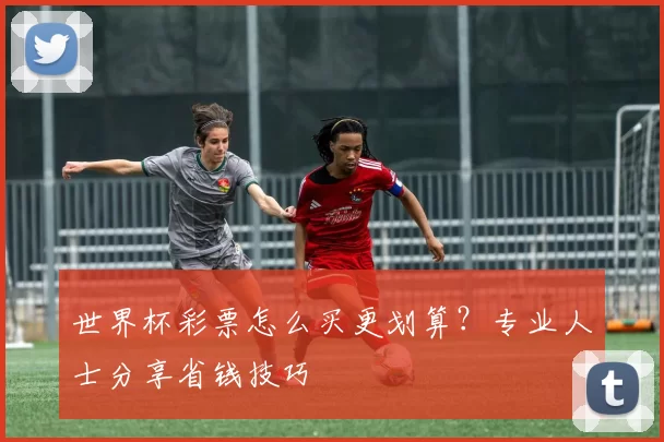 世界杯彩票怎么买更划算？专业人士分享省钱技巧