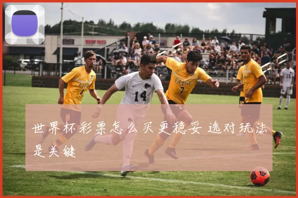 世界杯彩票怎么买更稳妥 选对玩法是关键