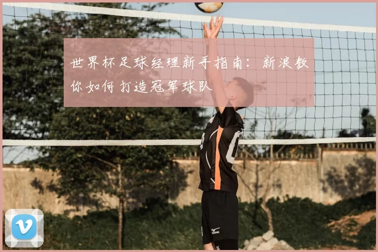 世界杯足球经理新手指南：新浪教你如何打造冠军球队