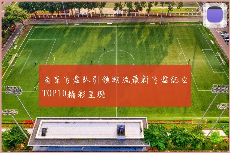 南京飞盘队引领潮流最新飞盘配合TOP10精彩呈现