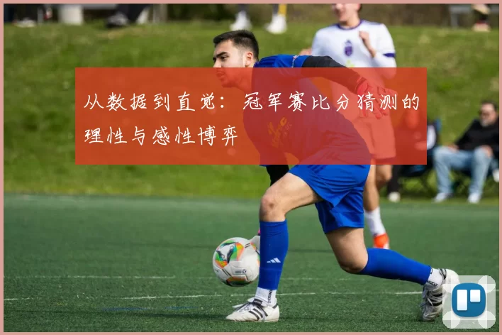从数据到直觉：冠军赛比分猜测的理性与感性博弈